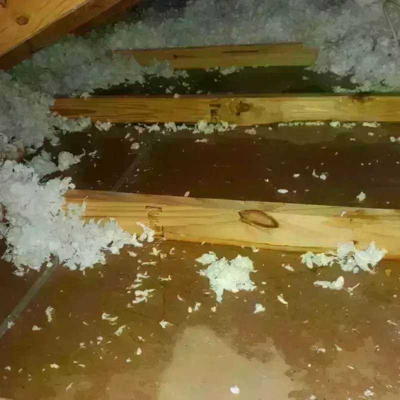 Attic Water Damage in Union County, KY